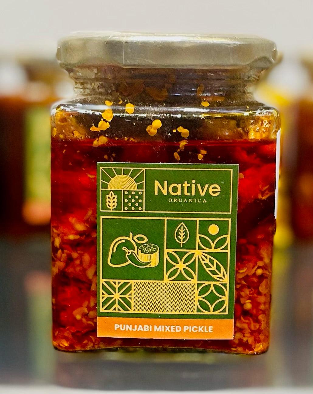 Punjabi Mix Pickle - Native-Organica